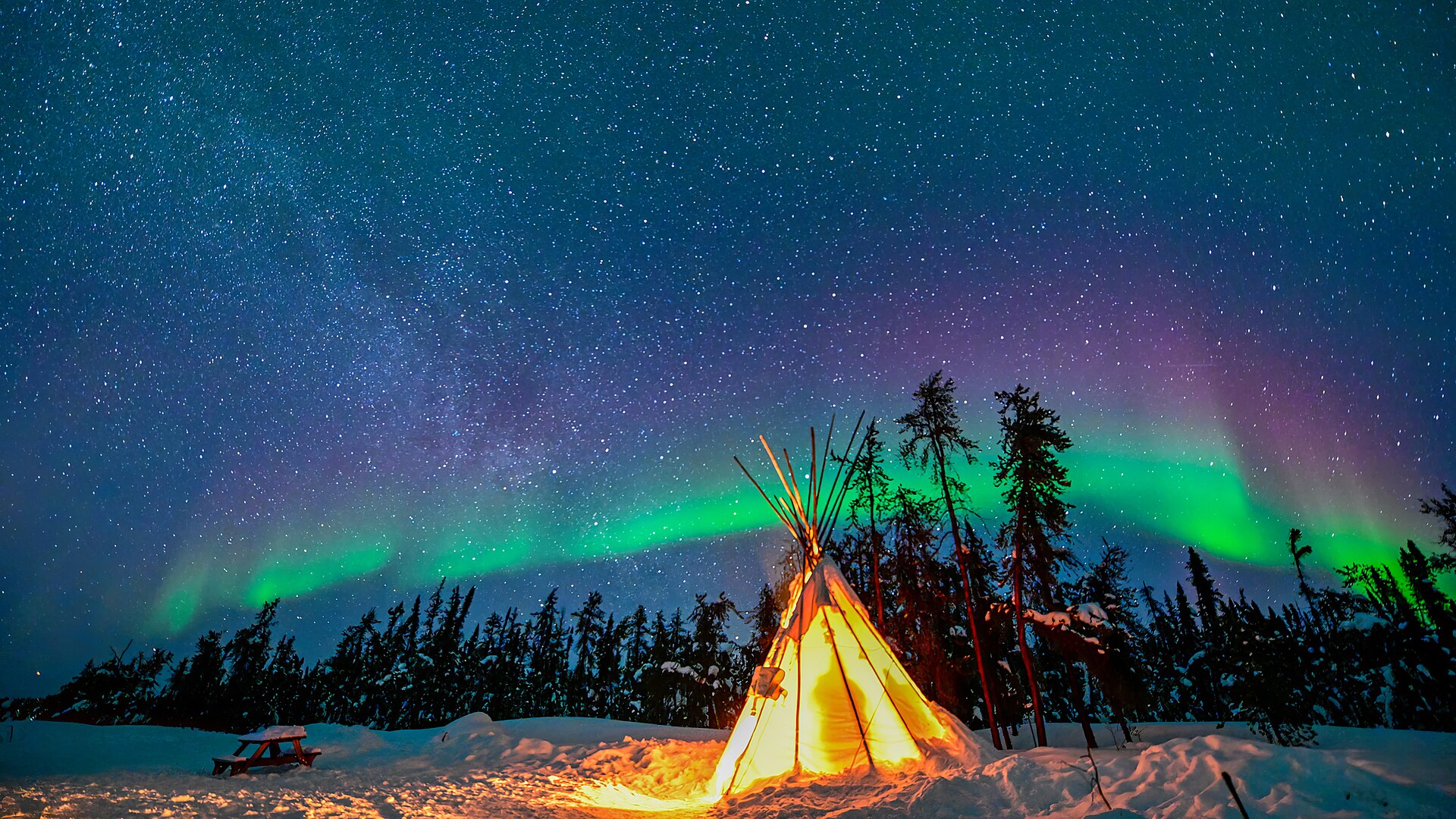Green aurora borealis and stars over lit tents in the boreal forest at night